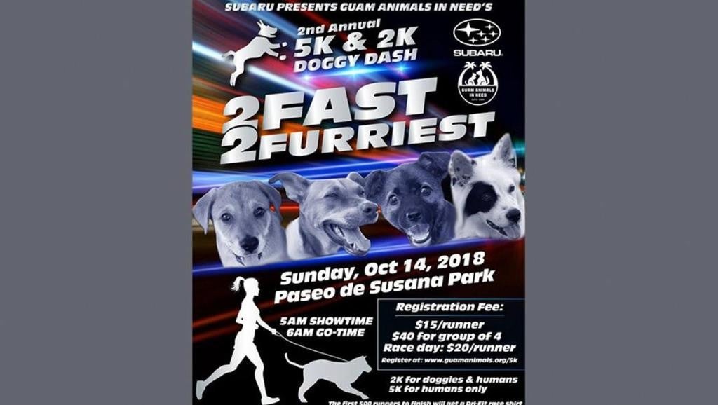 Subaru 2Fast2Furriest 2nd Annual Doggy Dash Flyer